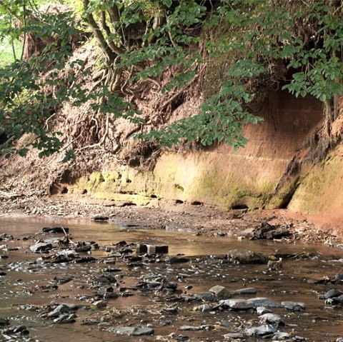 A stream flows along a reddish wall of earth, surrounded by green trees and stones in the water., © V. Teuschler