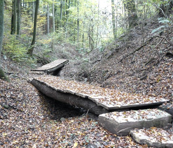 Ein h&ouml;lzerner Bohlenweg schl&auml;ngelt sich durch einen herbstlichen Wald, bedeckt mit buntem Laub., &copy; Felsenland S&uuml;deifel Tourismus GmbH, Christian Calonec-Rauchfuss