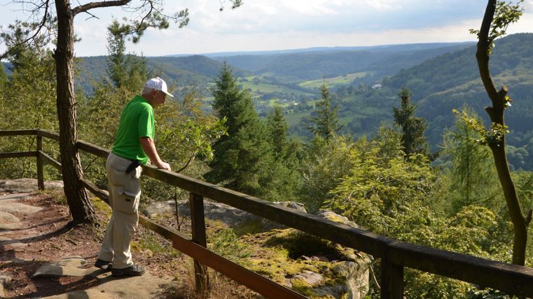 Ein Mann in grüner Kleidung steht an einem Geländer und blickt auf eine bewaldete Landschaft mit Hügeln und Tälern.