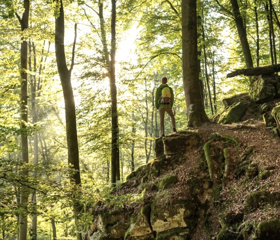 Ein Wanderer steht auf einem Felsen im Wald, umgeben von B&auml;umen und Sonnenlicht, das durch das Bl&auml;tterdach scheint., &copy; Eifel Tourismus GmbH, Dominik Ketz