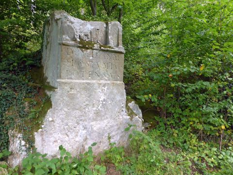 Ein großer, moosbedeckter Stein mit eingravierten Inschriften steht inmitten von dichter Vegetation. Umgeben von Bäumen und Grünzeug wirkt der Ort ruhig und naturnah.
