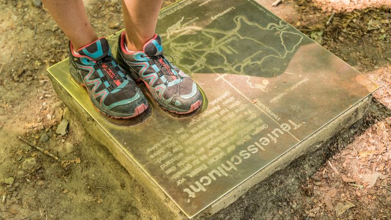 Person mit Sportschuhen steht auf einer Infotafel im Wald.