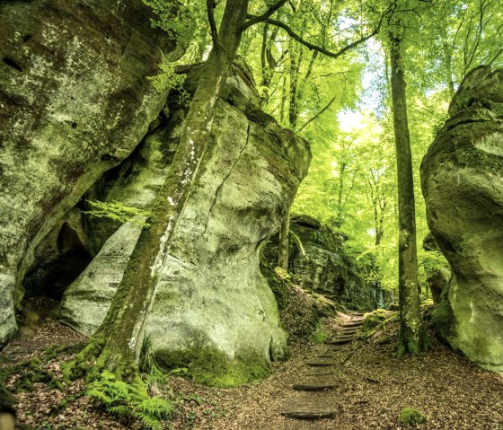 Wolfsschlucht au chemin de la falaise 3, © Eifel Tourismus GmbH, D. Ketz