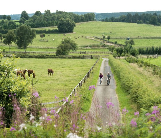 Randonnée à vélo dans l'Eifel : Vennbahn, Wolfsbusch Montenau, © vennbahn.eu