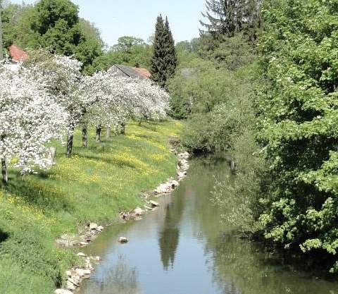 appelblauwtje-an-der-pruem-in-holsthum, &copy; Hans-Dieter Heck