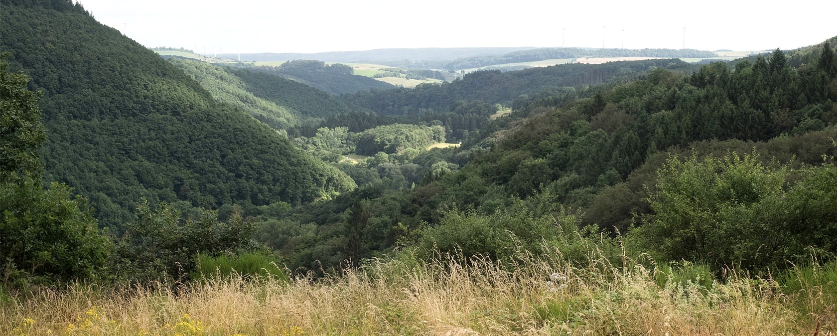 Vue panoramique sur la vall&eacute;e verdoyante d'Alsbach avec des collines bois&eacute;es et des prairies au premier plan., &copy; V. Teuschler