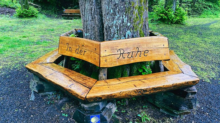Eine Holzbänke um einen Baum mit der Inschrift "In der Ruhe". Der Bereich ist grün und naturnah gestaltet.