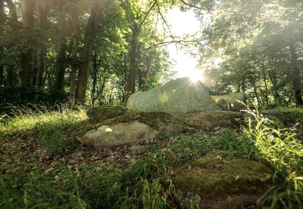 Mystical atmosphere at the stone box grave, © Eifel Tourismus GmbH, D. Ketz