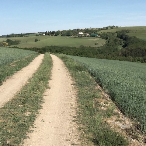 t_4, © Manuel Norta, Ammeldingen