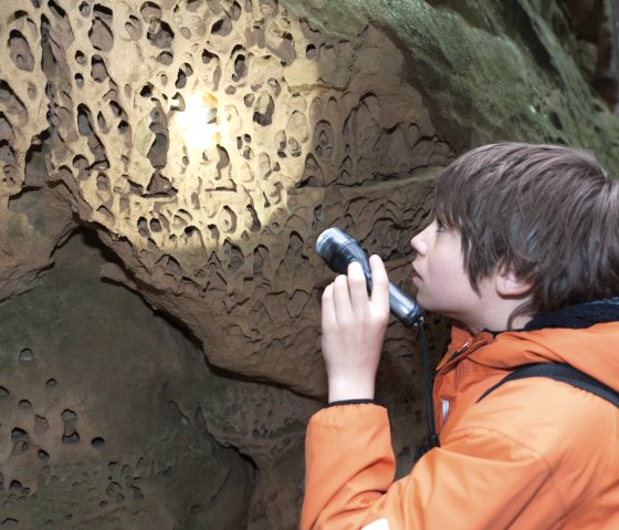 teenage-rock-explorer-explores-the-weathering-of-honeycombs, © Felsenland Südeifel Tourismus GmbH