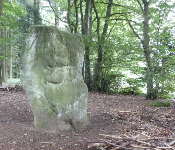 A large, moss-covered stone stands in the forest, surrounded by trees and foliage. The ground is covered with branches., &copy; Elke Wagner, Felsenland S&uuml;deifel Tourismus GmbH