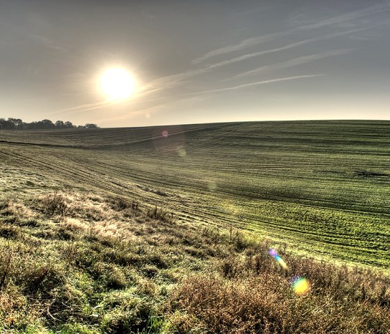 Sonnenuntergang &uuml;ber einer weiten, gr&uuml;nen Landschaft mit sanften H&uuml;geln und B&auml;umen am Horizont., &copy; Naturpark S&uuml;deifel, P. Haas