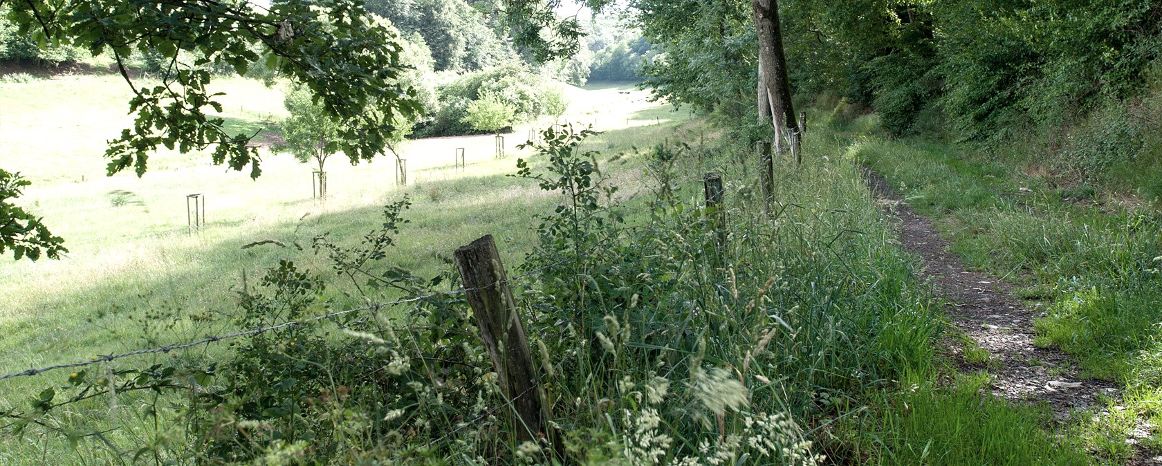 Dans la vallée de l'Agneau, © V. Teuschler