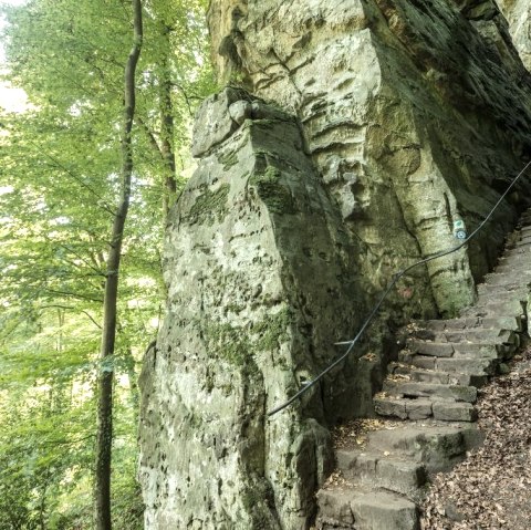 Un escalier de pierre escarp&eacute; m&egrave;ne &agrave; travers un ravin bois&eacute;. Les rochers sont recouverts de mousse et une corde sert de rampe.