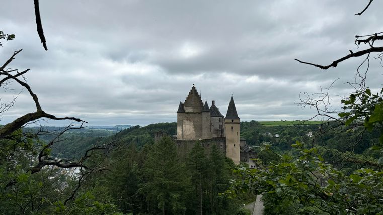 Een oude kasteel staat majestueus op een heuvel, omringd door dichte bossen. De lucht is bewolkt en geeft de scène een mystieke sfeer.