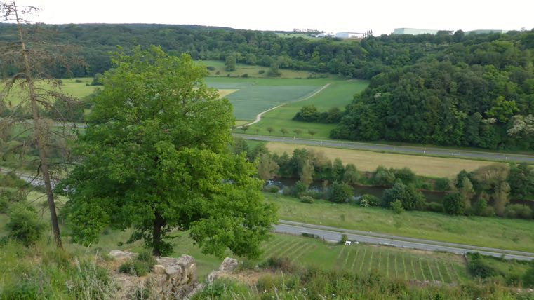 Blick auf das Sauertal mit Bäumen, Feldern und einem Fluss.