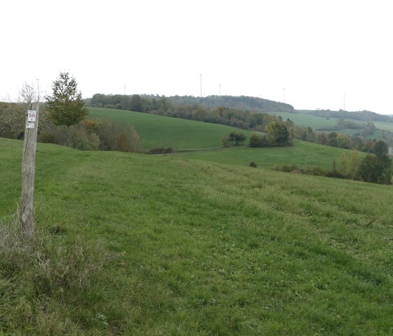Gr&uuml;ne H&uuml;gel mit Windr&auml;dern am Horizont, ein Holzpfosten mit Schild im Vordergrund. Weite Landschaft unter bew&ouml;lktem Himmel., &copy; Felsenland S&uuml;deifel Tourismus, Christian Calonec-Rauchfuss