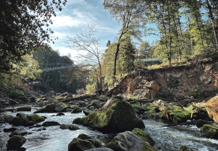 Irreler Wasserf&auml;lle mit H&auml;ngebr&uuml;cke, &copy; Felsenland S&uuml;deifel Tourismus GmbH