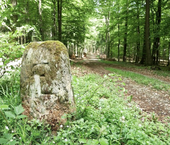 A moss-covered boundary stone in the forest, surrounded by green vegetation and a forest path., &copy; Elke Wagner, Felsenland S&uuml;deifel Tourismus GmbH