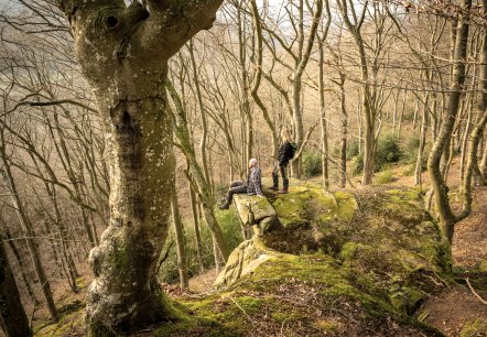 Zwei Personen stehen und sitzen auf einem moosbedeckten Felsen in einem kahlen Wald. Die Bäume sind hoch und dicht, ohne Laub., © Eifel Tourismus GmbH, D. Ketz