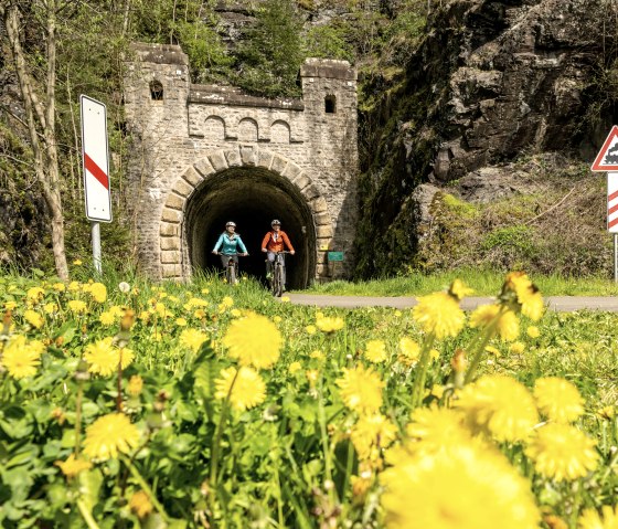 Enz cycle path, old railroad tunnel near Neuerburg, © Eifel Tourismus GmbH, Dominik Ketz