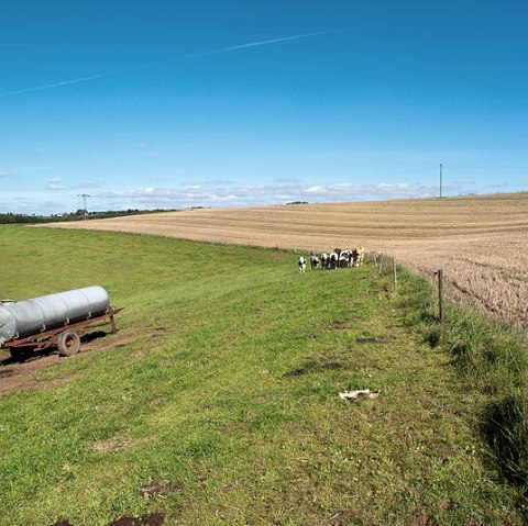 Fields near Geichlingen, © V. Teuschler