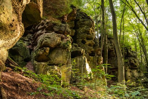 Eine beeindruckende Felsformation in einem grünen Wald. Das Licht fällt auf die Steine und die umgebende Vegetation.