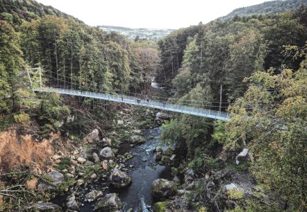 H&auml;ngebr&uuml;cke aus der Vogelperspektive, &copy; Felsenland S&uuml;deifel Tourismus GmbH, Tim Winhuysen