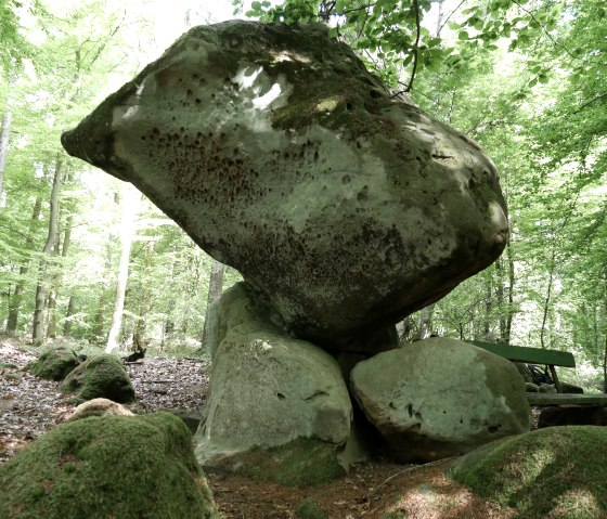 The rock is also rightly called "Bärenstein", © Felsenland Südeifel Tourismus GmbH, Elke Wagner