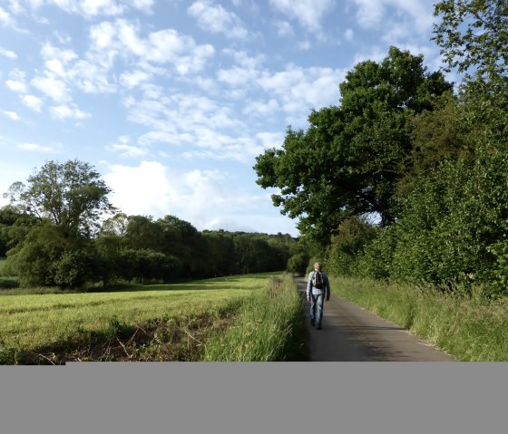 Persoon op een landelijk pad, omringd door groene bomen en weiden, onder een blauwe lucht met wolken., &copy; Elke Wagner, Felsenland S&uuml;deifel Tourismus GmbH