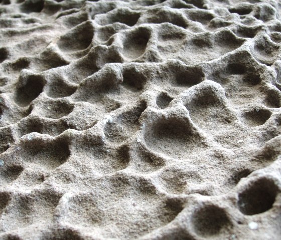 Close-up of a rock surface with honeycomb-like weathering, showing irregular depressions and elevations., &copy; Elke Wagner, Felsenland S&uuml;deifel Tourismus GmbH