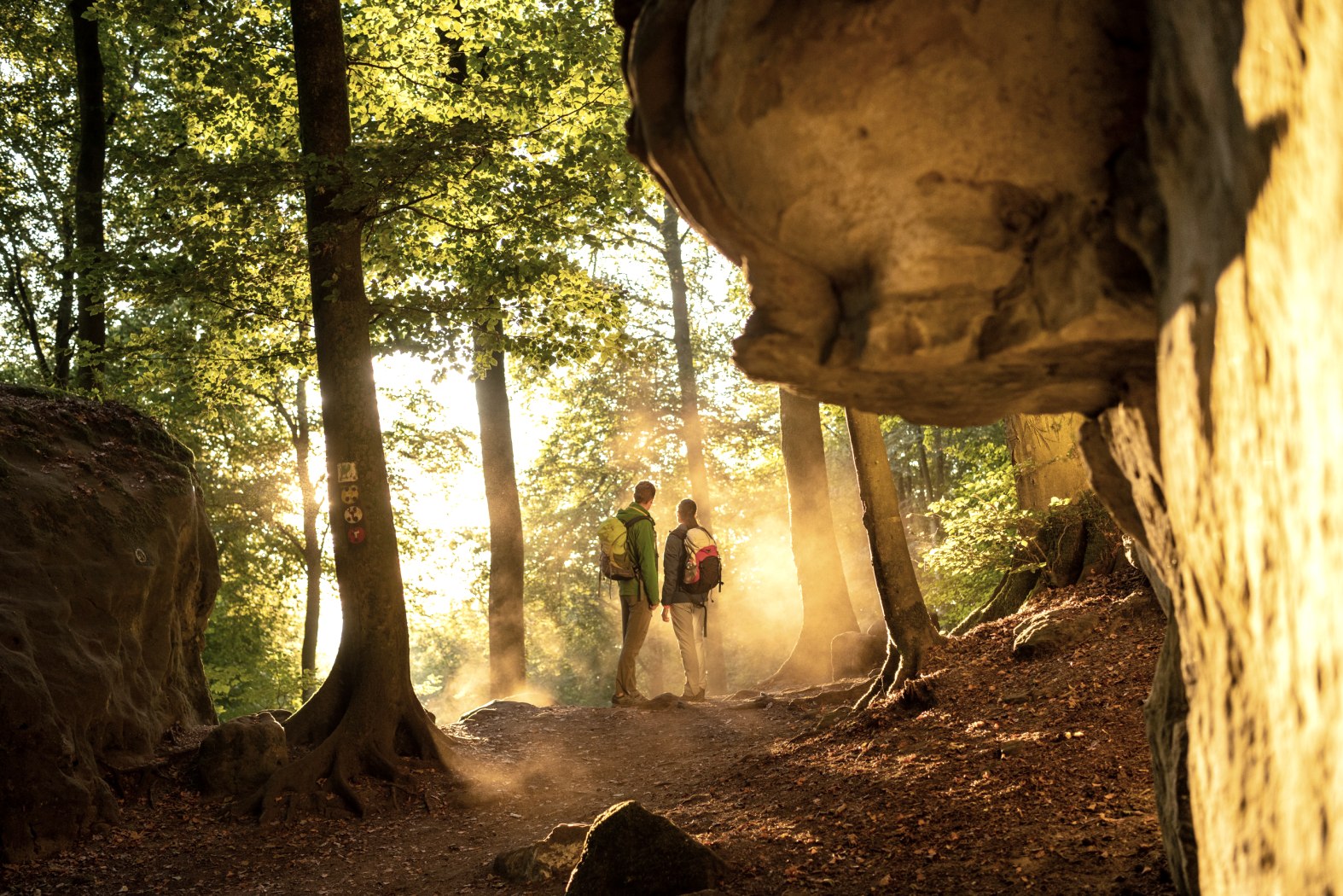Nähe Teufelsschlucht Spätsommer, © Eifel Tourismus GmbH, Dominik Ketz