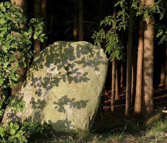 Coincé dans un mur : le Langenstein, © Felsenland Südeifel Tourismus GmbH
