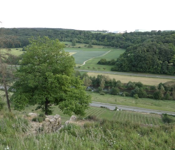 Panoramisch uitzicht op de vallei van de S&ucirc;re met groene velden, een rivier en een jonge wijngaard. Een boom en een weg op de voorgrond., &copy; Elke Wagner, Felsenland S&uuml;deifel Tourismus GmbH