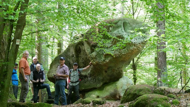 Gruppe von Menschen vor einem großen, bemoosten Felsen im Wald.