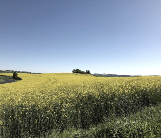 Paysage naturel d'Uppershausen