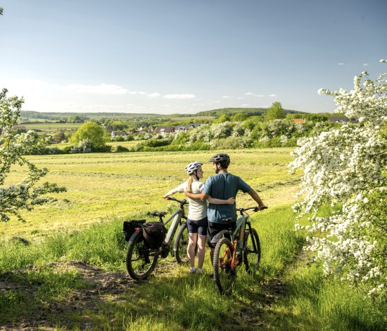 Uitzicht op de zuidelijke Eifel met boomgaarden, Nims fietspad, &copy; Eifel Tourismus GmbH, Dominik Ketz
