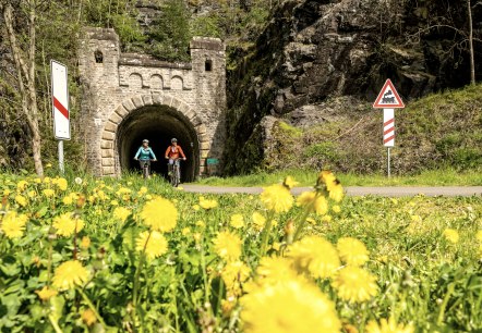 Zwei Radfahrer auf einem Weg vor einem alten Bahntunnel, umgeben von bl&uuml;hendem L&ouml;wenzahn und Verkehrsschildern., &copy; Eifel Tourismus GmbH, Dominik Ketz