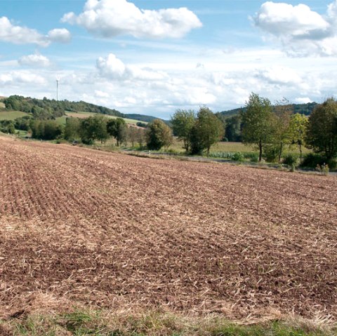 Weite Landschaft im Enztal mit einem braunen Feld im Vordergrund, B&auml;umen und einem Windrad im Hintergrund unter blauem Himmel mit Wolken., &copy; V. Teuschler