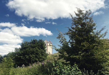 Luzienturm Sommer, © Felsenland Südeifel Tourismus GmbH / Anna Carina Krebs