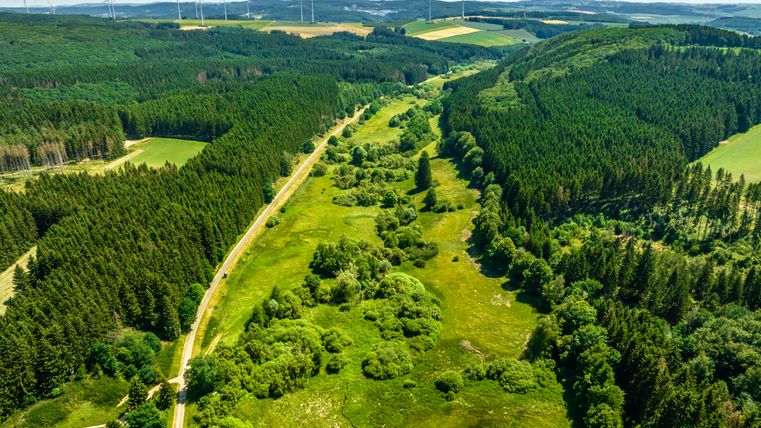 Luftaufnahme eines grünen Tals mit einem Radweg, umgeben von Wäldern und Windrädern am Horizont.