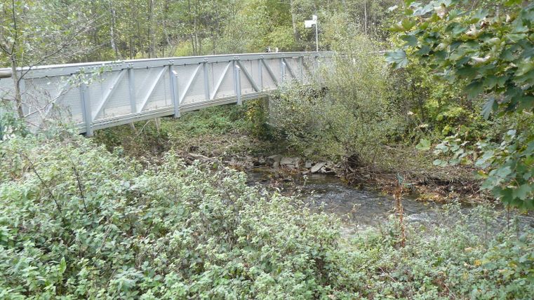 Metallbrücke über einen kleinen Fluss inmitten von Bäumen und Sträuchern.