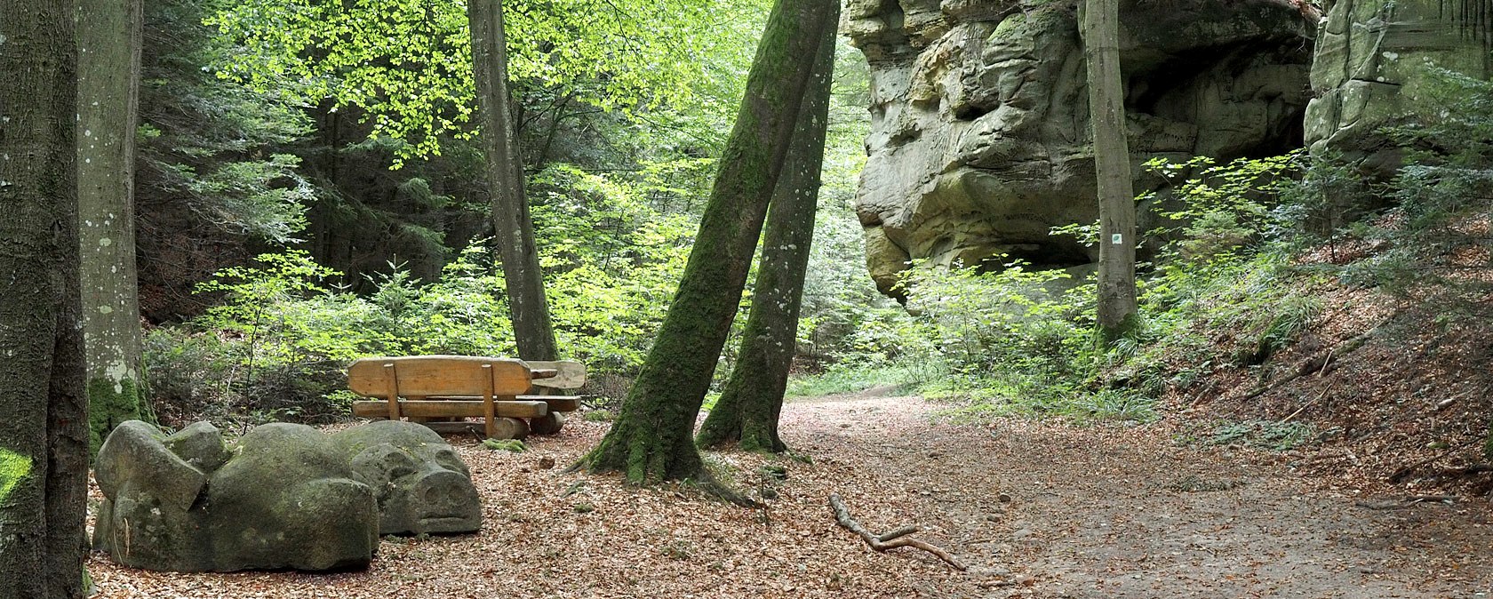 Un chemin forestier avec un banc en bois et une formation rocheuse en arri&egrave;re-plan. Le sol est recouvert de feuilles mortes et des arbres entourent la sc&egrave;ne., &copy; Volker Teuschler