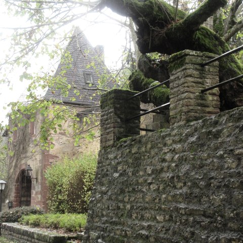 Kasteel Roth, © Felsenland Südeifel Tourismus GmbH