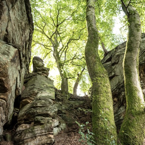 Felsen bei der Mandrack Passage im NaturWanderPark delux, &copy; Eifel Tourismus GmbH, D. Ketz