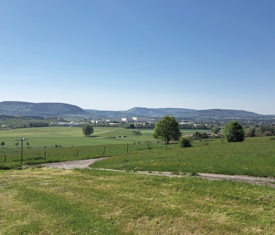20250501_110704, © Tourist-Info Wittlich Stadt&Land