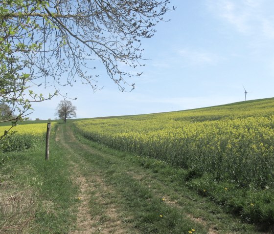 img_8956, &copy; Felsenland S&uuml;eeifel Tourismus GmbH