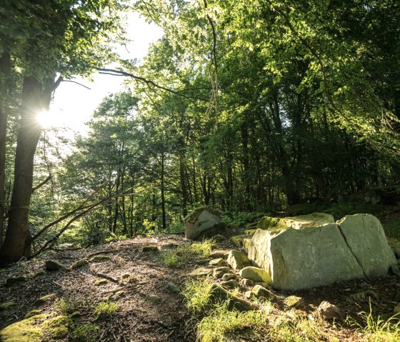 Stone box tomb on the Klausnerweg in the delux nature hiking park, © Eifel Tourismus GmbH, D. Ketz
