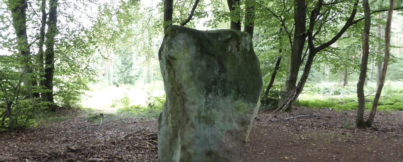 Druid stone Bollendorf from the "back", © Elke Wagner