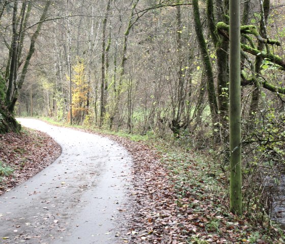 A narrow, winding path in the Radenbach valley, surrounded by trees with autumn leaves and a small stream on the right., &copy; Felsenland S&uuml;deifel Tourismus GmbH, Natalie Mainz